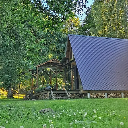 Koka Namins 