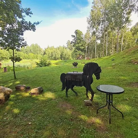 Koka Namins 